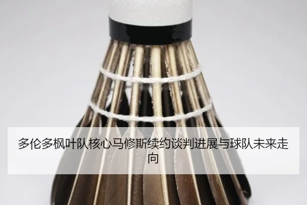 duo-lun-duo-feng-ye-dui-he-xin-ma-xiu-si-xu-yue-tan-pan-jin-zhan-yu-qiu-dui-wei-lai-zou-xiang-2-477.jpg